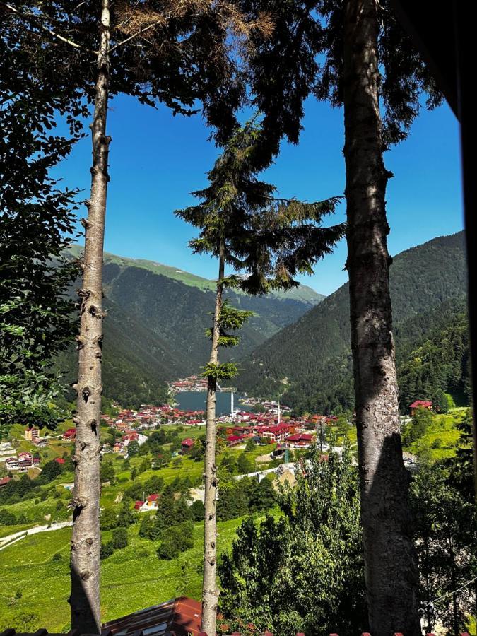 Maneviga Cafe & Apart Aparthotel Uzungöl Kültér fotó